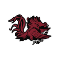 South Carolina Gamecocks